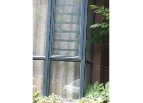 杭州防護紗窗——防護欄